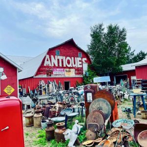 treasure hunting 101: your beginner's guide to antiquing