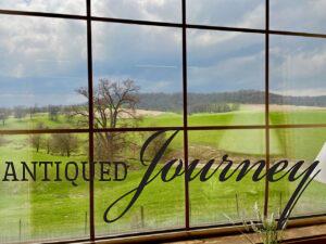a beautiful green pasture viewed from an antique store window