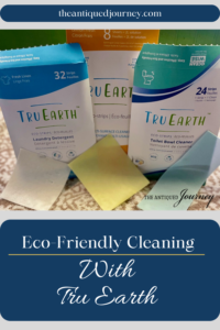 a photo of Tru Earth eco-cleaning strips