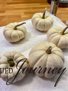 white pumpkins for a fall DIY project