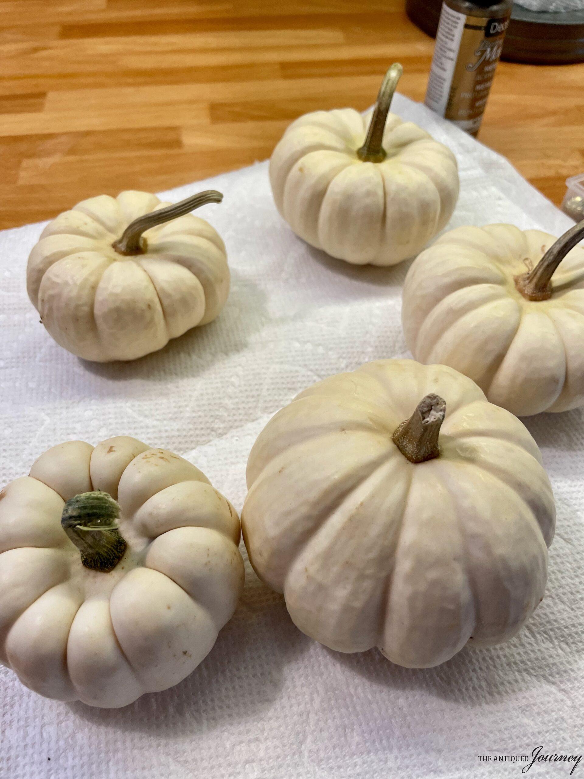 How To Make Polka Dot Pumpkins The Antiqued Journey How To Make Polka Dot Pumpkins The Antiqued Journey