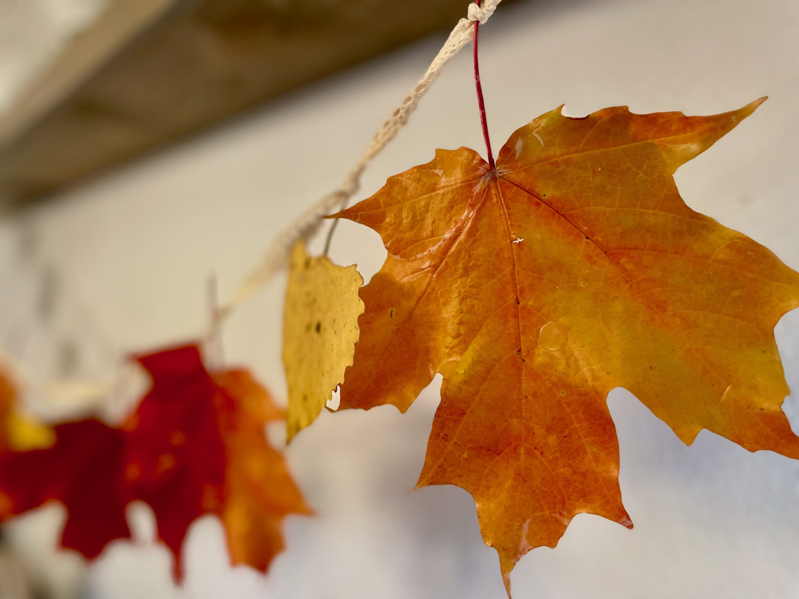 a DIY fall garland with waxed leaves