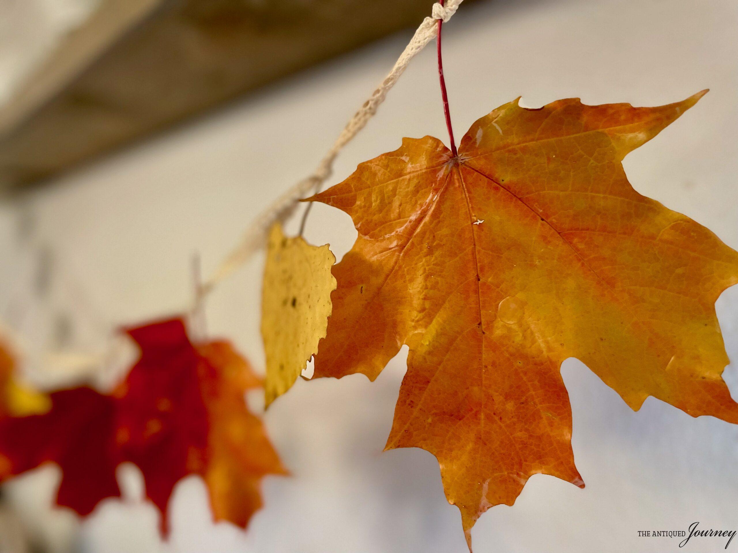 a DIY fall garland with waxed leaves