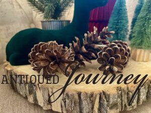 three pinecones in a Christmas vignette