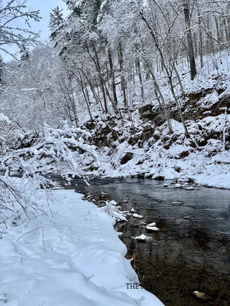 a snowy winter scene in the woods
