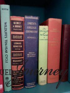 vintage books lined up on a shelf