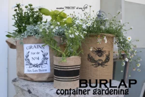 a container garden DIY from Master'pieces' of my Life.