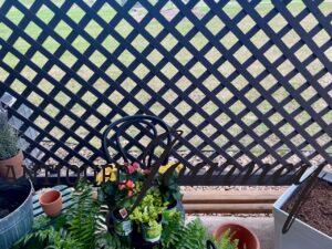 a lattice on a small townhome patio