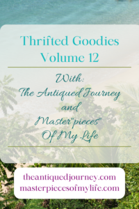 a graphic for Thrifted Goodies Volume 12