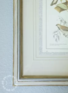 bird print DIY from Lost and Found Decor