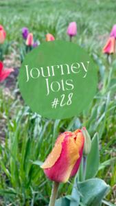 Spring Tulips for journey jots #28
