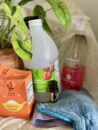Healthy Spring Cleaning Tips: Natural Ways to Freshen Your Home - The ...